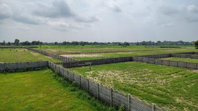 Image of 1200 Sq.ft Residential Plot / Land for sale in OMR Shri Radha Rani Farms, Sunrakh Bangar, Vrindavan for Rs. 18000000