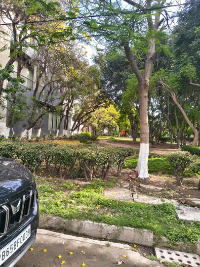 Silver City main Main Image 1