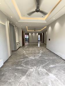 Hall Image of 1150 Sq.ft 3 BHK Builder Floor for sale in Sector 14 Rohini New Delhi for Rs. 17200000