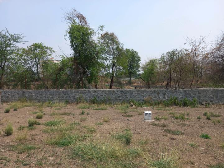 Chande Main Image 1