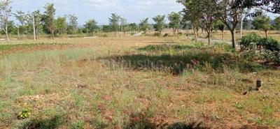 Image of 1500 Sq.ft Residential Plot / Land for sale in AVS Deflora, S Mudhuganapalli, Hosur for Rs. 1950000