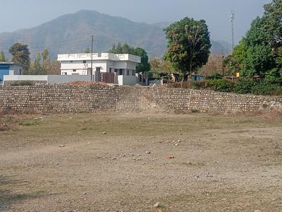 Krishali mohalla badasi Plot View 1