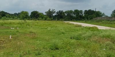 Image of 1000 Sq.ft Residential Plot / Land for sale in Sakri, Bilaspur for Rs. 1500000