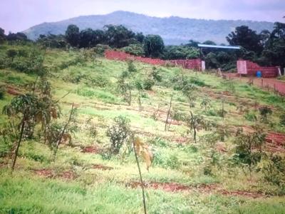 Image of 1089 Sq.ft Residential Plot / Land for sale in Pen, Raigad for Rs. 255000