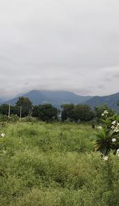 Image of 2250 Sq.ft Residential Plot / Land for sale in Mussoorie Road, Dehradun for Rs. 15500000