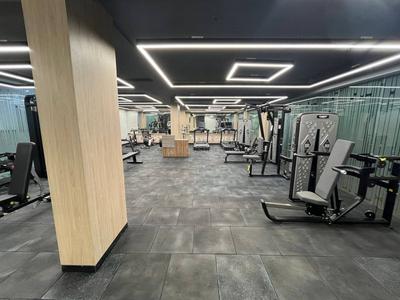Image of 1100 Sq.ft 1 BHK Builder Floor for rent in HUDA Plot Sector 42, Sector 42, Gurgaon for Rs. 50000