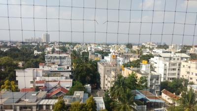 Bedroom Image of 2174 Sq.ft 3 BHK Apartment / Flat for rent in Vaishnavi Splendour, Armane Nagar Bengaluru for Rs. 90000
