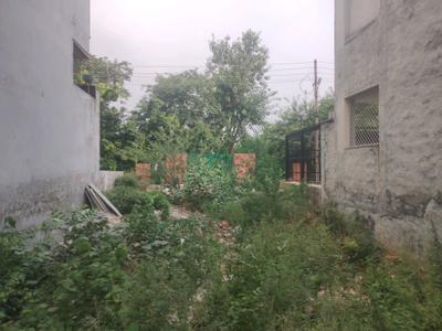 Sector 45 Plot View 1