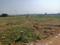 Sangareddy Plot View 2