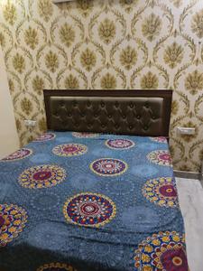 Bedroom Image of 2700 Sq.ft 3 BHK Builder Floor for rent in Sector 65 Mohali for Rs. 62000