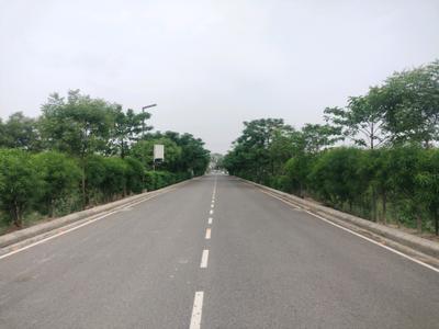 Amolik Aster Woods Internal Roads 1