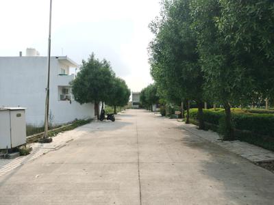 Image of 150 Sq.ft Residential Plot / Land for sale in Soha Neal City, Sector 98, Faridabad for Rs. 15000000