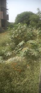 Bhanvar Kuan Plot View 2