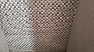 Bathroom Image of 585 Sq.ft 1 BHK Apartment / Flat for rent in Aditya Urban Homes Phase 1A, Bamheta Village Ghaziabad for Rs. 10000