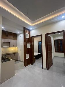 Hall Image of 2700 Sq.ft 2 BHK Builder Floor for rent in Sector 61 Mohali for Rs. 27000