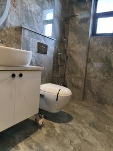 Common Bathroom Image of 2200 Sq.ft 3 BHK Builder Floor for rent in Sector 46 Gurgaon for Rs. 75000