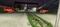 Chunar Plot View 2