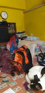 Image of 400 Sq.ft 2 BHK Apartment / Flat for sale in North Dum Dum Bediapara, Kolkata for Rs. 1100000