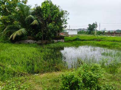 Image of 3000 Sq.ft Residential Plot / Land for sale in Raghupatee Estate and holding Jyotshna Vihar, Urali, Cuttack for Rs. 15000000