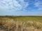 Sarde Plot View 2