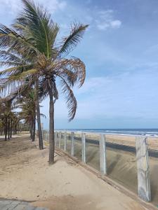 Image of 960 Sq.ft Residential Plot / Land for sale in Kadapakkam, Chennai for Rs. 1875000