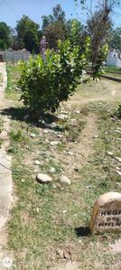 Image of 2250 Sq.ft Residential Plot / Land for sale in Aneki Hetmapur, Haridwar for Rs. 7875000