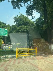 Image of 2358 Sq.ft 2 BHK Independent House for sale in Sector 60, Mohali for Rs. 60000000