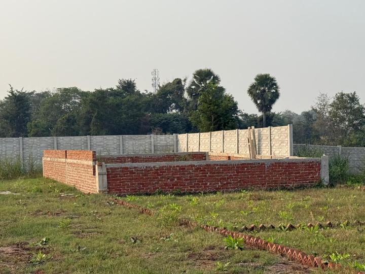 Phase XVI Main Image 1