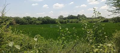 Image of 2420 Sq.ft Residential Plot / Land for sale in Chilkur, Hyderabad for Rs. 35000000