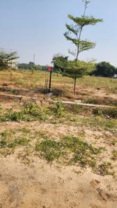 Image of 750 Sq.ft Residential Plot / Land for sale in Koba, Gandhinagar for Rs. 52500000