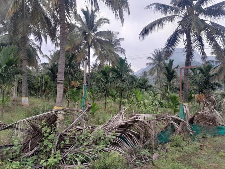 Thondamuthur Main Image 1