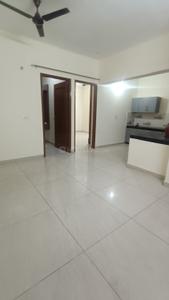 Hall Image of 1425 Sq.ft 3 BHK Independent House for rent in Sector 11 Panchkula for Rs. 25000
