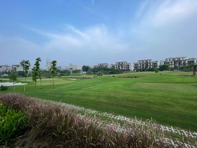 Image of 4100 Sq.ft 4 BHK Villa for sale in Godrej Exquisite At Godrej Golf Links, Jaypee Greens, Greater Noida for Rs. 59500000