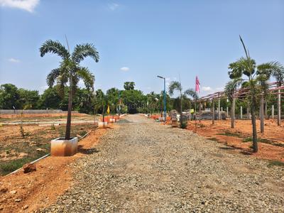 SS VALLEY Plot View 1