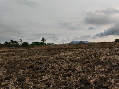 Ak Land developers Plot View 3