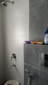 Image of 650 Sq.ft 2 BHK Apartment / Flat for rent in Shapoorji Pallonji Joyville Hinjawadi, Hinjawadi, Pune for Rs. 25000