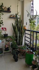 Balcony Image of 1082 Sq.ft 2 BHK Apartment / Flat for sale in Mana Karmel, Carmelaram Bengaluru for Rs. 9100000