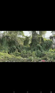 Titwala Plot View 1