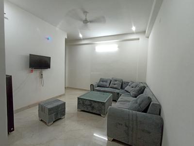 Hall Image of 1200 Sq.ft 2 BHK Builder Floor for rent in Saket New Delhi for Rs. 24000