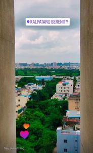 Balcony Image of 1000 Sq.ft 2 BHK Apartment / Flat for rent in Kalpataru Serenity, Hadapsar Pune for Rs. 15000