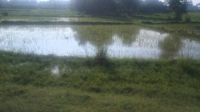 Image of 13500 Sq.ft Residential Plot / Land for sale in Magadh Colony, Gaya for Rs. 30000000