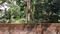 Madhyamgram Plot View 2