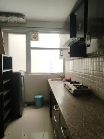 Tulip Lemon Property Details Video 1