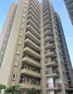 Image of 645 Sq.ft 3 BHK Apartment / Flat for rent in Pyramid Infinity, Southern Peripheral Road, Gurgaon for Rs. 30000