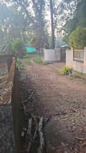 Image of 93654 Sq.ft Residential Plot / Land for sale in Chottanikkara, Kochi for Rs. 6450000