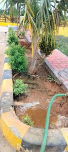 Image of 165 Sq.ft Residential Plot / Land for sale in Penamaluru, Vijayawada for Rs. 4785000