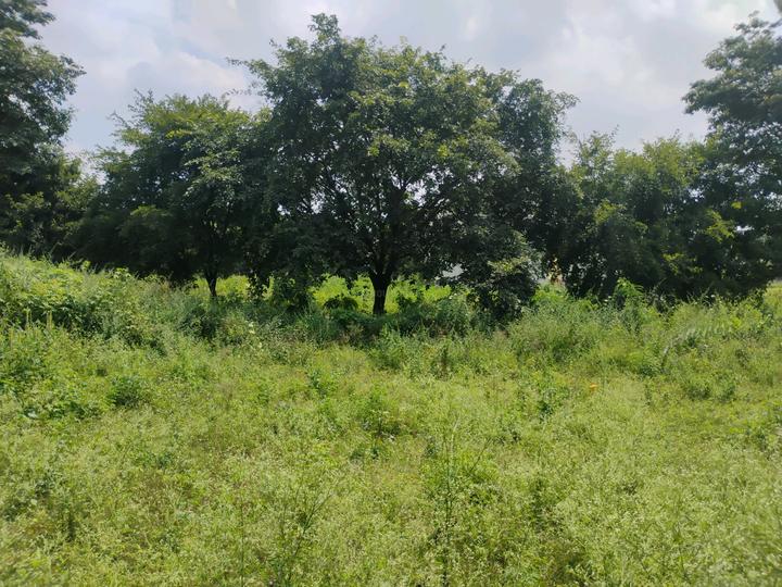 Mallasandra Main Image 1