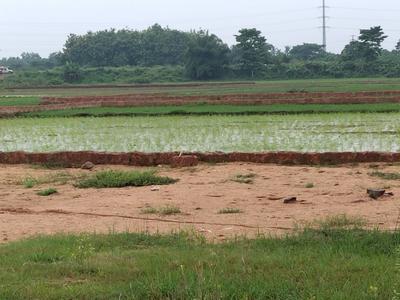 Image of 1000 Sq.ft Residential Plot / Land for sale in Benupur, Bhubaneswar for Rs. 2300000