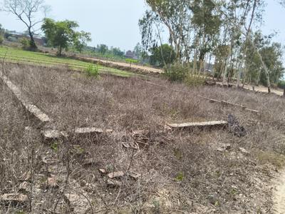 Image of 1102 Sq.ft Residential Plot / Land for sale in Shahbazpur Dor, Gajraula for Rs. 750000