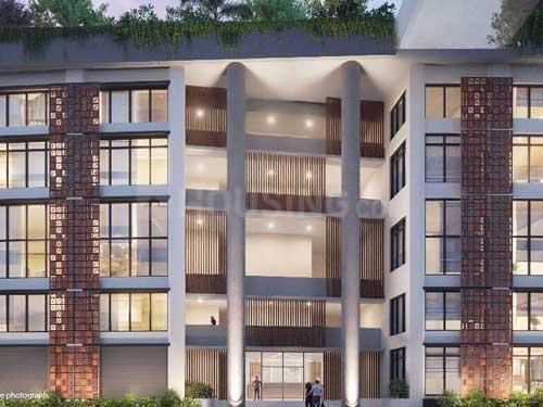 Oro Dynasty Main Image 1